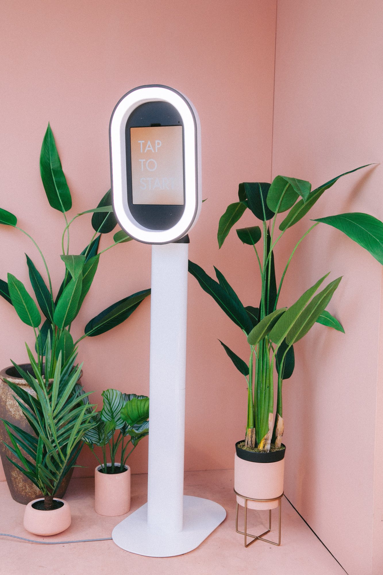 A June Light photo booth set up in a pink room beside potted palms